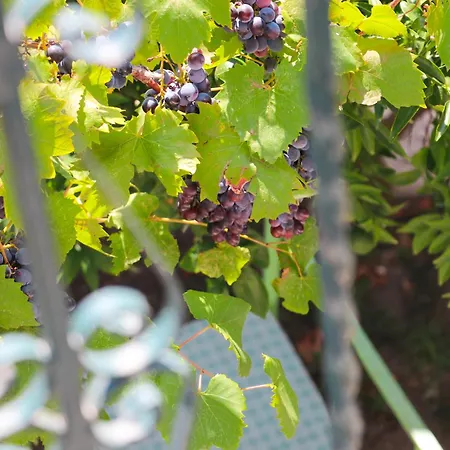 Сasa de vacaciones Willy Velipojë