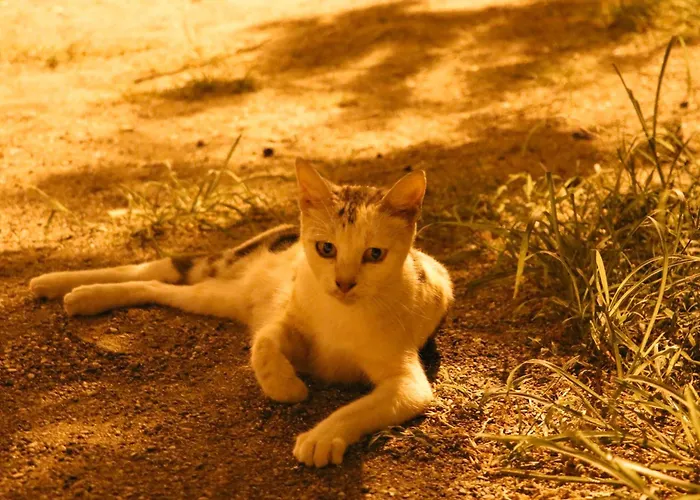 Сasa de vacaciones Willy *