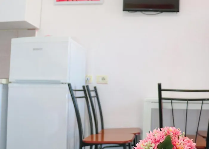 Willy Сasa de vacaciones