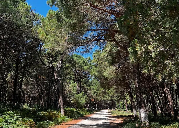 Willy Сasa de vacaciones