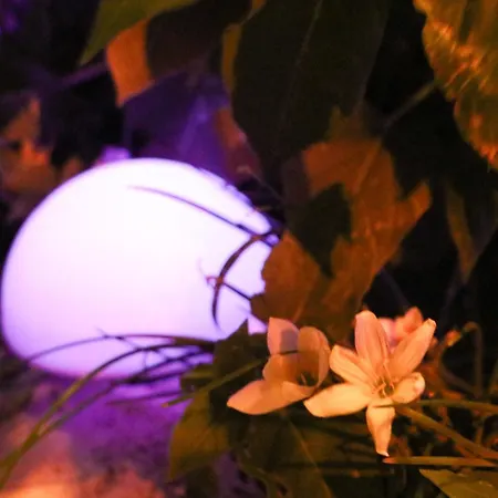 Willy Vakantiehuis Velipojë