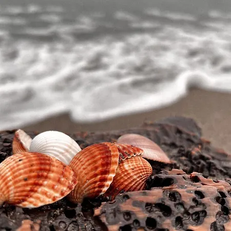 Willy Hébergement de vacances