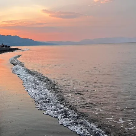 Willy Prázdninový dům *