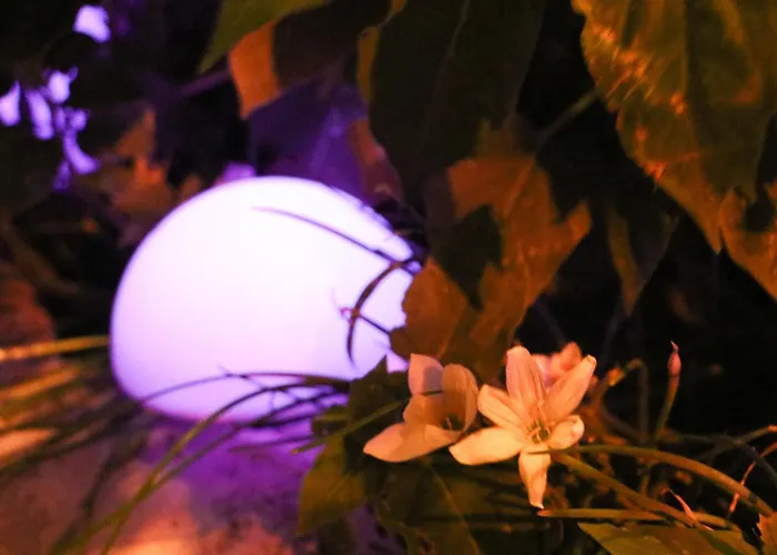 Willy Casa vacanze Velipojë