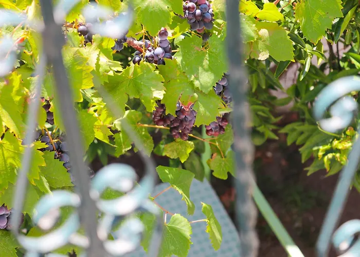 Casa vacanze Willy Velipojë