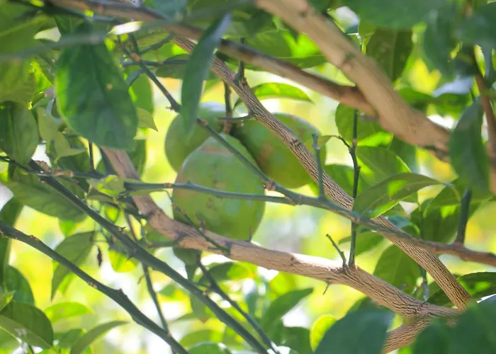 Casa vacanze Willy *